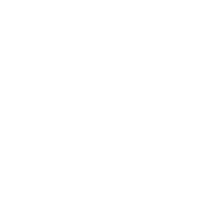 install-enjoy-your-wallfly