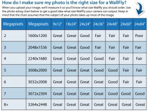 wall-flys-size-chart