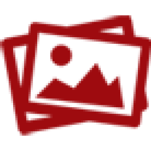 wall-flys-small-icons-chose-size-1