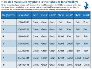 wallflys-size-chart