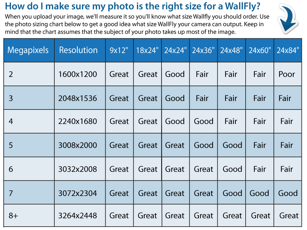 wallflys-size-chart